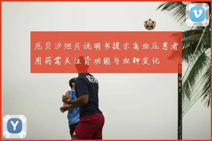厄贝沙坦片说明书提示高血压患者用药需关注肾功能与血钾变化