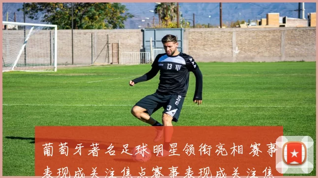 葡萄牙著名足球明星领衔亮相 赛事表现成关注焦点赛事表现成关注焦点