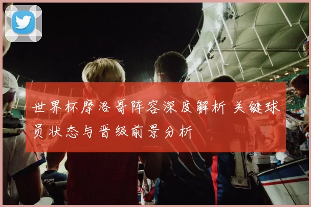 世界杯摩洛哥阵容深度解析 关键球员状态与晋级前景分析