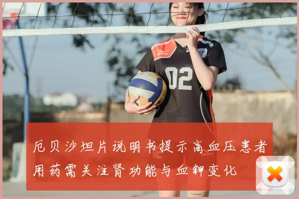 厄贝沙坦片说明书提示高血压患者用药需关注肾功能与血钾变化